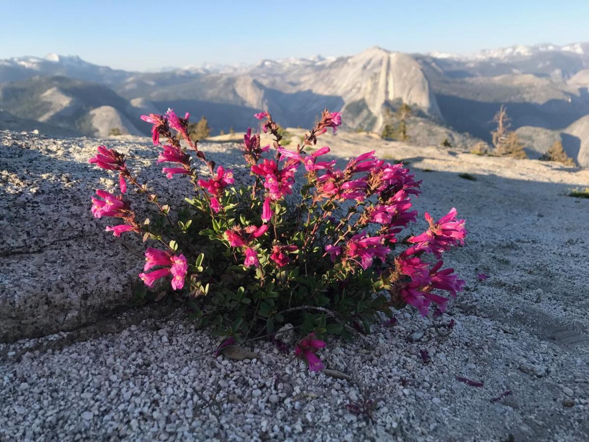 Homestay Morning Star Vista Near Yosemite - Countryside With Mountain Views Mariposa